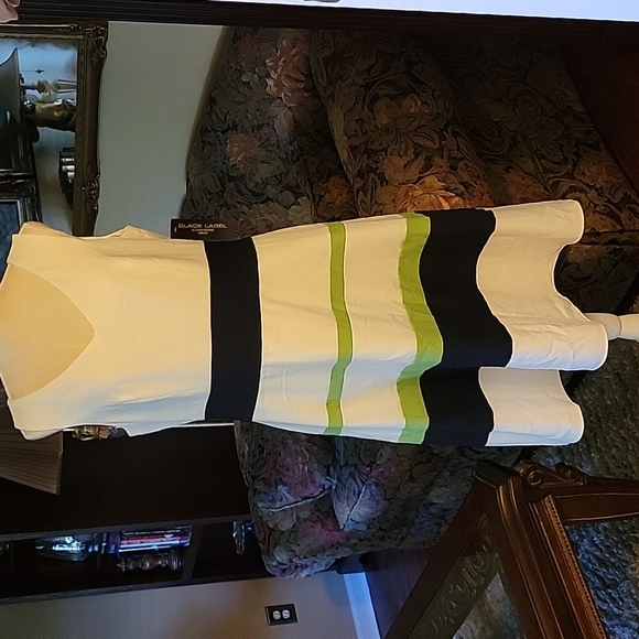 Evan Picone Dresses & Skirts - Evan-Picone Black Label Ivory Navy & Key Lime striped sleeveless dress 12 NEW…
